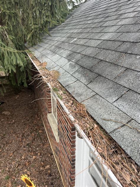 yelp gutter cleaning|Iba pa.